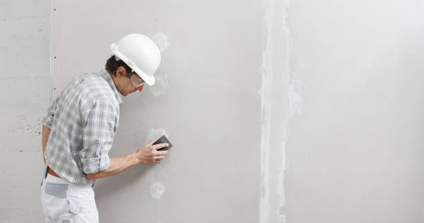 Best Attic Mold Removal  in Lavonia, GA