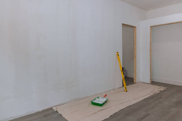 Best Mold Odor Removal Services  in Lavonia, GA