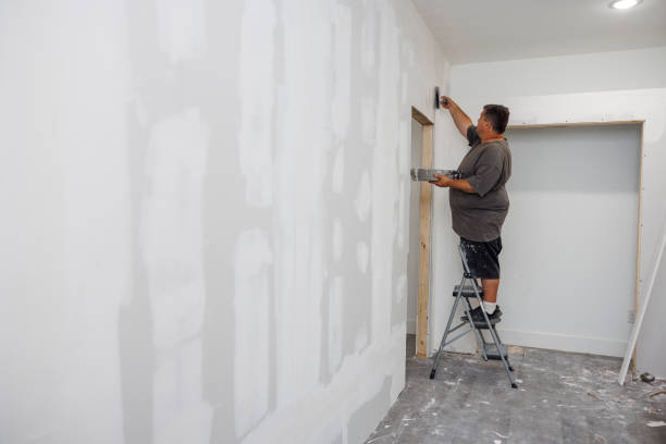 Best Emergency Mold Remediation  in Lavonia, GA