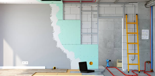 Reliable Lavonia, GA Mold Removal Solutions