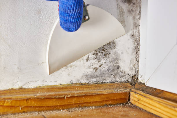 Best Post-Remediation Verification Testing  in Lavonia, GA