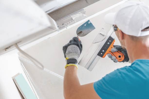 Dehumidification Services in Lavonia, GA